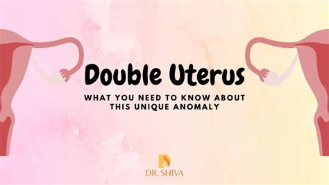 frau 2 vaginas|Woman with uterus didelphys reveals what it’s like to have two。